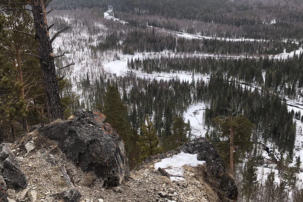 
        Таежник с детства. Версия с медведем трещит по швам: Усольцевых могли убить    