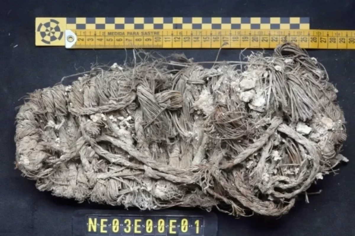 
        Ученые нашли в гнезде грифа в Испании 700-летнюю сандалию    