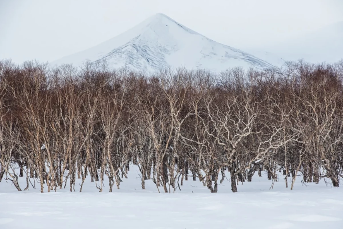 Проснувшийся гигант. Как выглядит пробудившийся вулкан Кроноцкая Сопка
Проснувшийся гигант. Как выглядит пробудившийся вулкан Кроноцкая Сопка