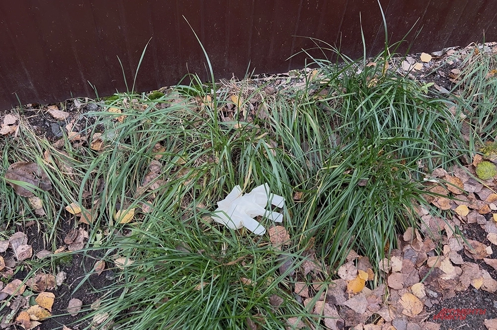 
        «Как отшельники». Новые детали о погибших из сектантского дома в Балашихе    