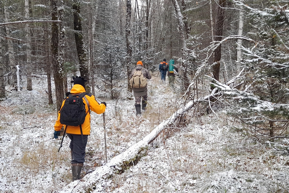 
        Выпал снег, шансов ноль. Вот, что творится в районе, где ищут Усольцевых    