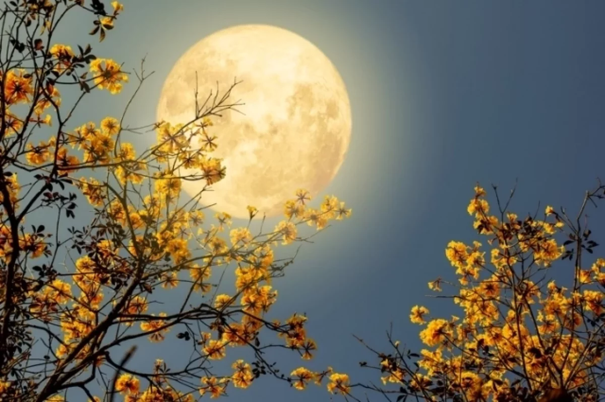 Ученые раскрыли загадку таинственных огней на Луне
Ученые раскрыли загадку таинственных огней на Луне