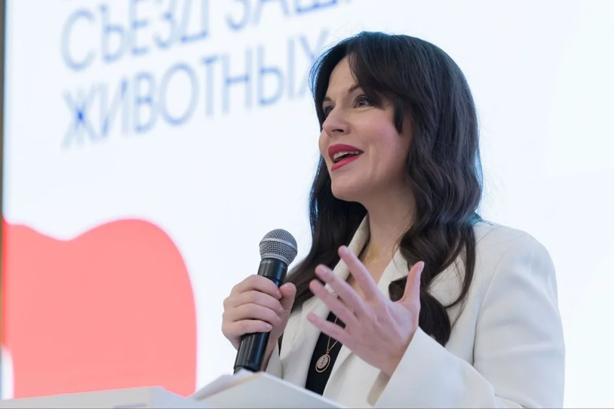 
        Ответственное отношение. Представлена единая концепция по питомцам    