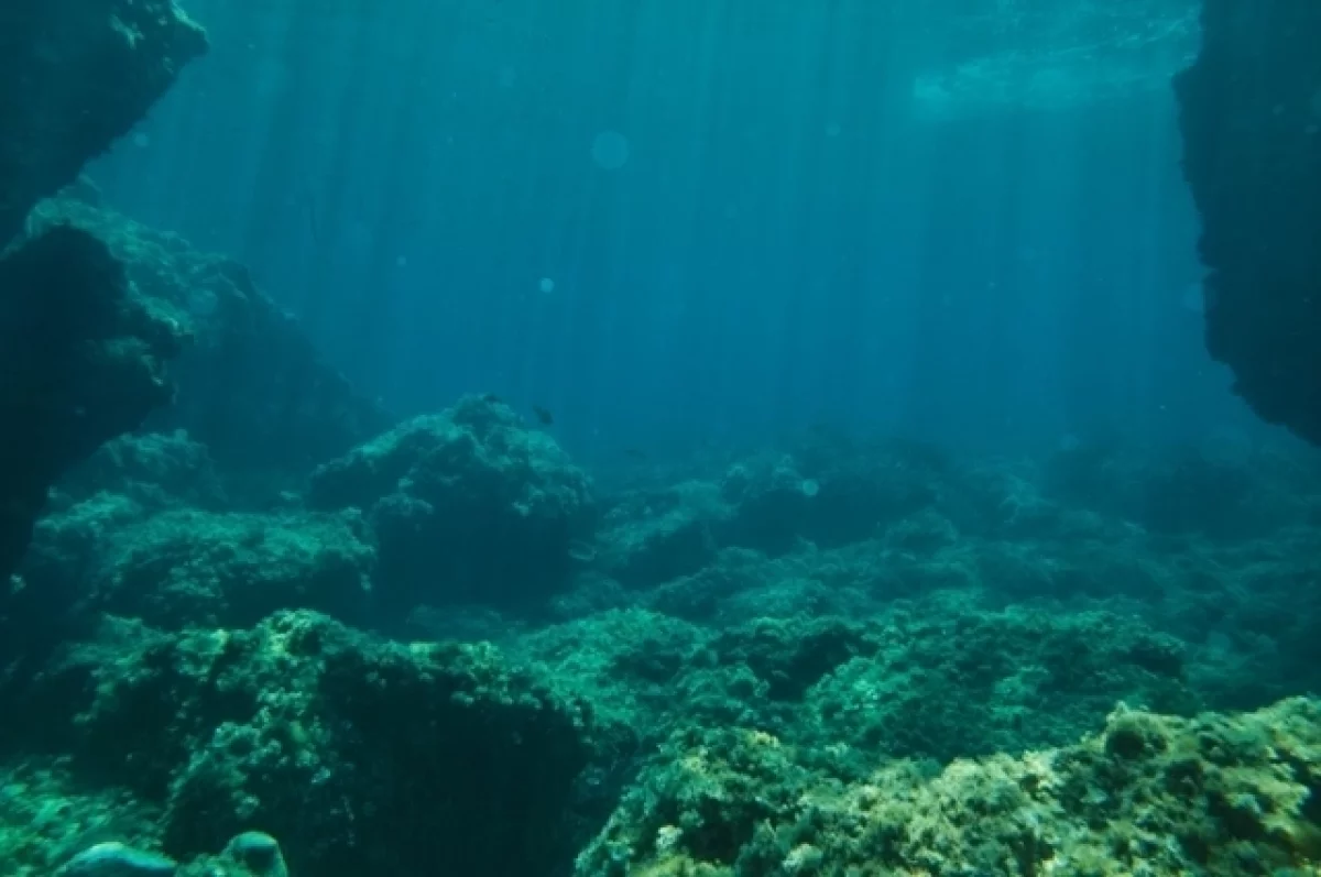 Клад на дне океана. Ученые обнаружили залежи редкоземов в подводных горах
Клад на дне океана. Ученые обнаружили залежи редкоземов в подводных горах