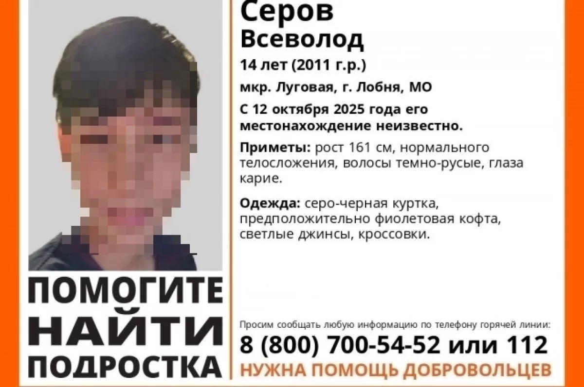 «Сева, тебя любят». От пропавшего в Люберцах мальчика остались кроссовки
«Сева, тебя любят». От пропавшего в Люберцах мальчика остались кроссовки