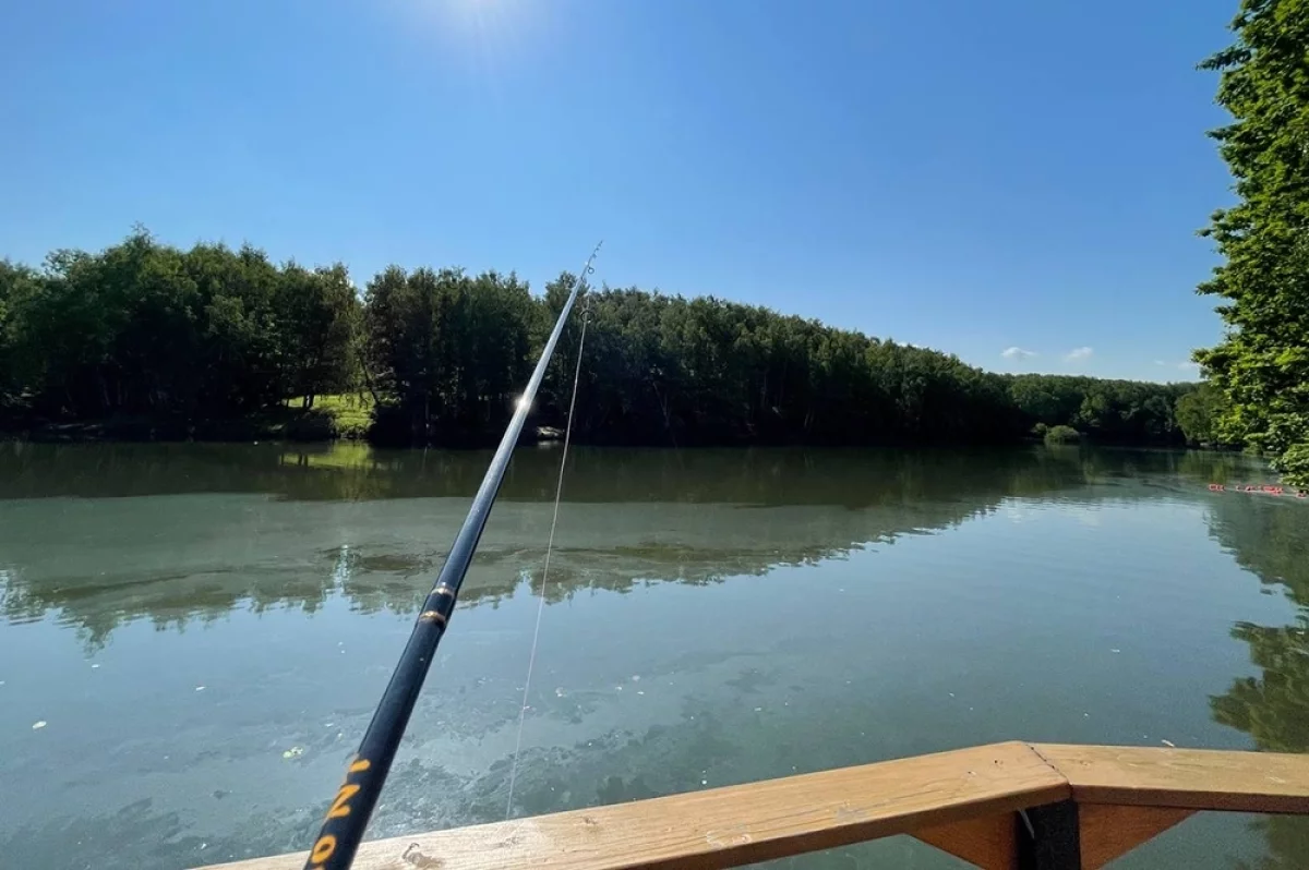 
        Удочка спать мешает. Зачем идти на рыбалку рано утром    