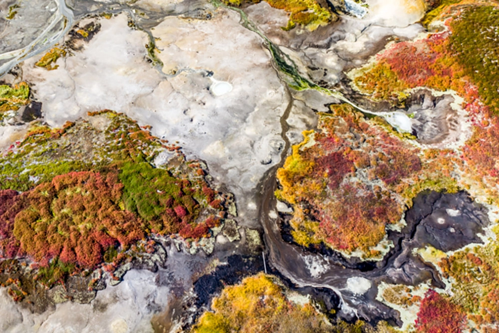 Жерло красоты. Невероятная кальдера вулкана Узон
Жерло красоты. Невероятная кальдера вулкана Узон