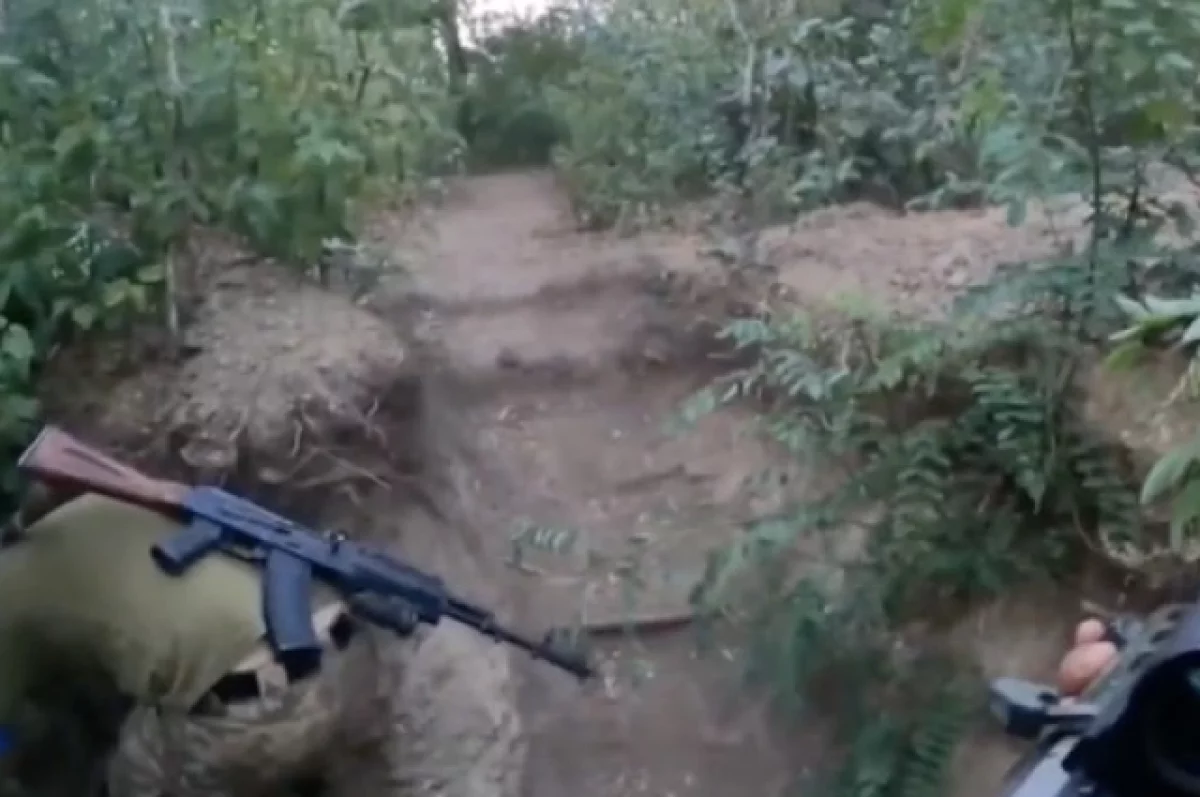 Боец Дондос: наемники из Польши, Румынии и Болгарии воюют на стороне ВСУ
Боец Дондос: наемники из Польши, Румынии и Болгарии воюют на стороне ВСУ