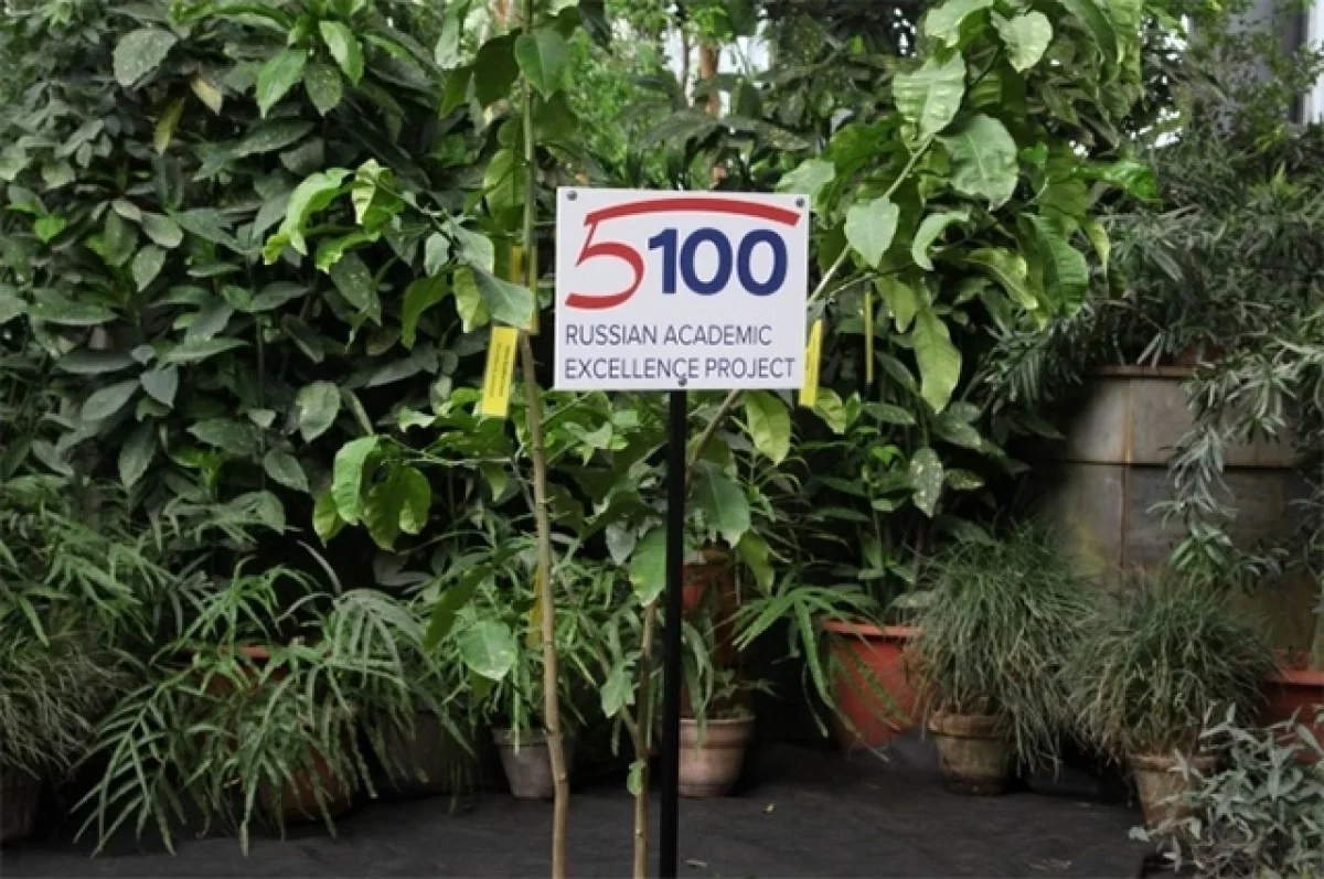 
        Дерево с пятью сортами. Как посадить на даче сибирское чудо    