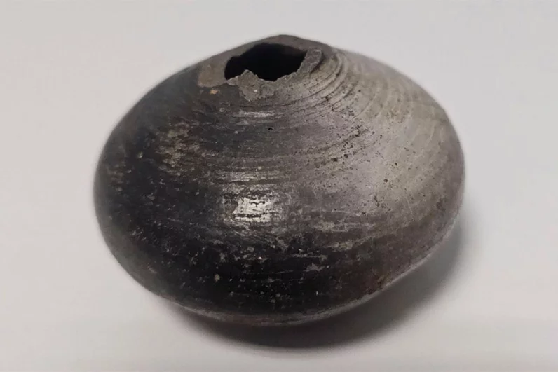 
        Страшный артефакт. Трёхликий бюст в Ирландии был связан с жуткими ритуалами    