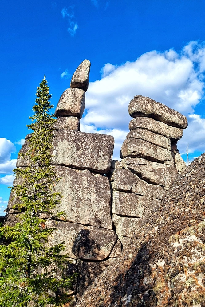 
        Таежник с детства. Версия с медведем трещит по швам: Усольцевых могли убить    