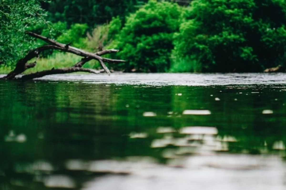 
        DM: Финляндия и Польша укрепят границы при помощи противотанковых болот    