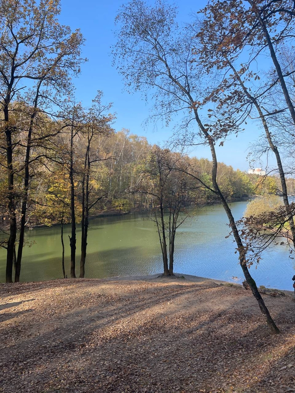 В тепле и с уловом. Как правильно собраться на рыбалку в октябре
В тепле и с уловом. Как правильно собраться на рыбалку в октябре