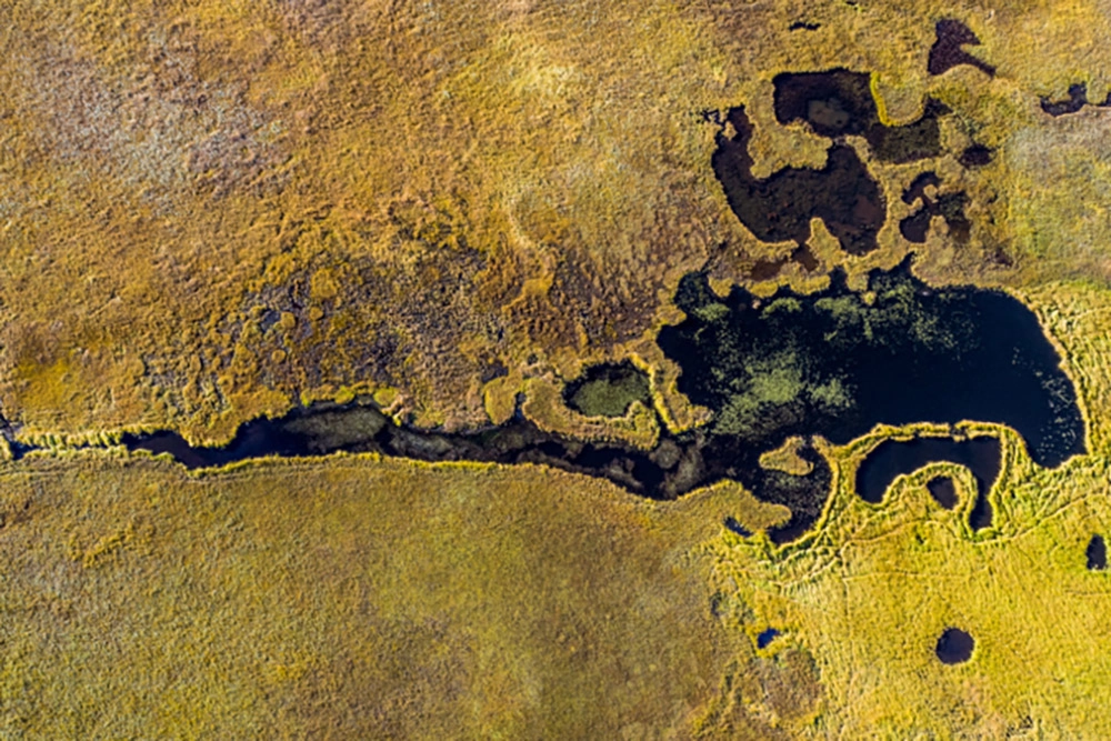 
        Палитра природы. Великолепная кальдера вулкана Узон с высоты    