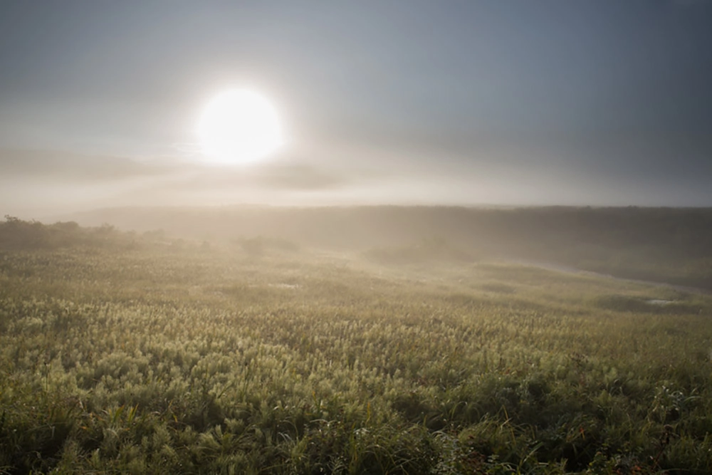 Жерло красоты. Невероятная кальдера вулкана Узон
Жерло красоты. Невероятная кальдера вулкана Узон