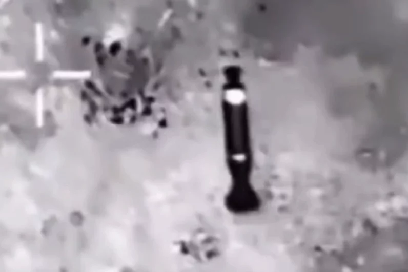 Сводка СВО на утро 11 сентября. В огневых мешках с ВСУ творятся жуткие вещи
Сводка СВО на утро 11 сентября. В огневых мешках с ВСУ творятся жуткие вещи