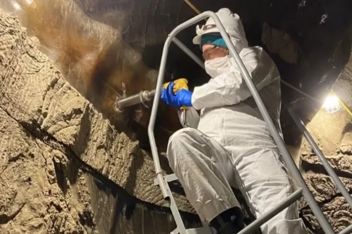 
        Ученые &laquo;разбудили&raquo; микробов с Аляски, которым 40 тыс. лет    