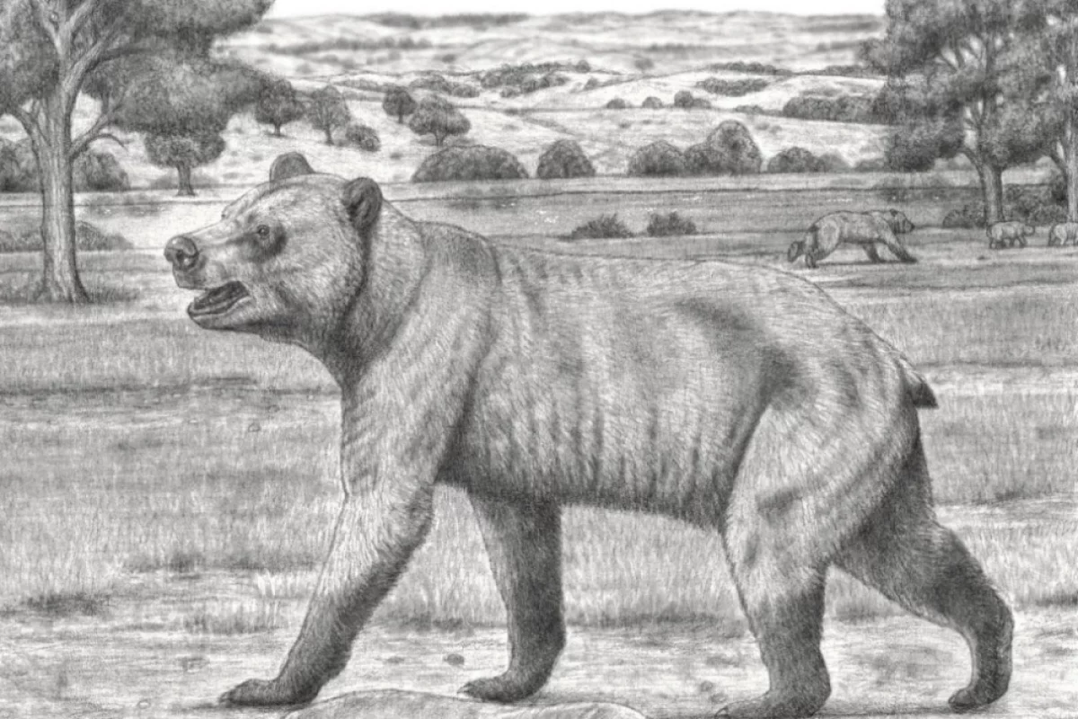 Уракан Борисяка. В России найден гигантский «штормовой медведь»
Уракан Борисяка. В России найден гигантский «штормовой медведь»