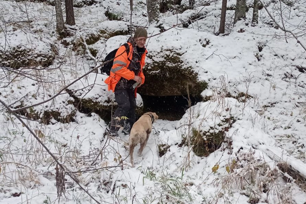 
        Выпал снег, шансов ноль. Вот, что творится в районе, где ищут Усольцевых    