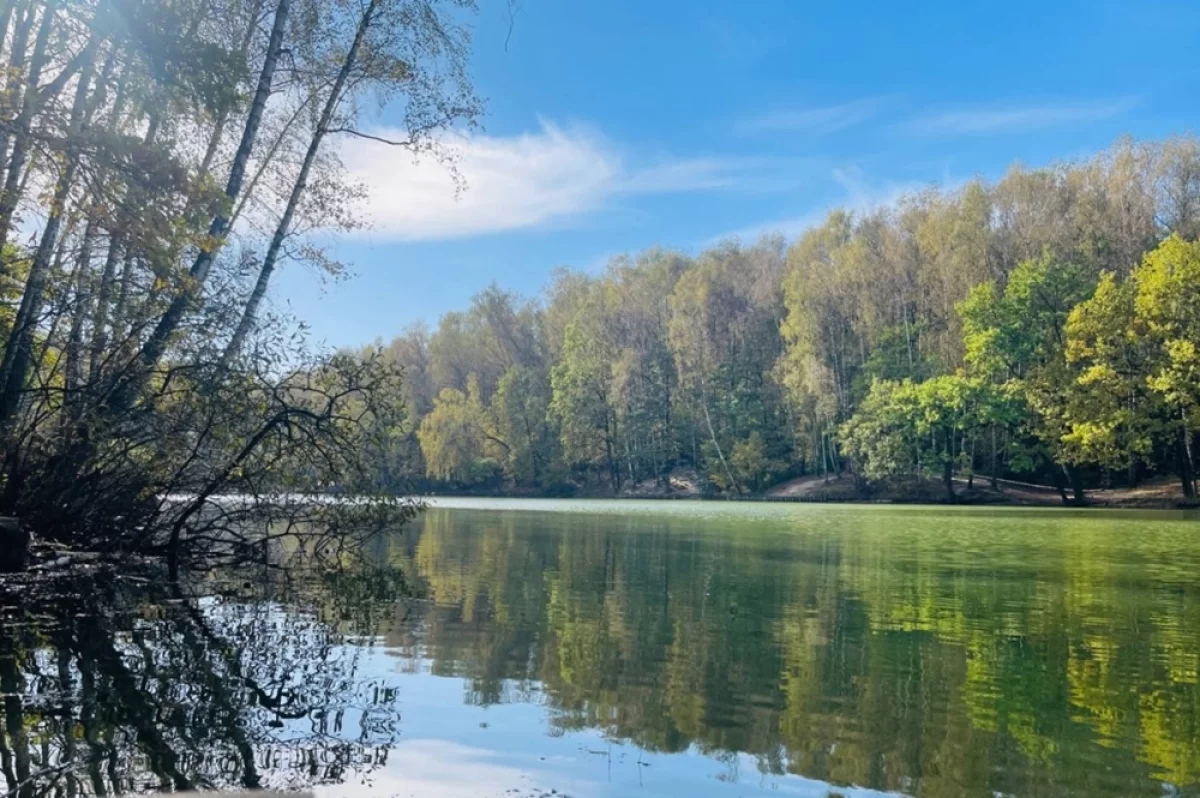 В тепле и с уловом. Как правильно собраться на рыбалку в октябре
В тепле и с уловом. Как правильно собраться на рыбалку в октябре