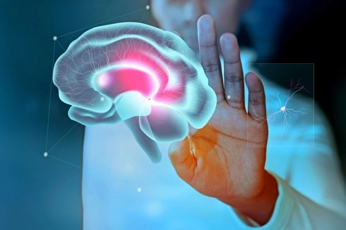 
        Ученые из США научились предсказывать риск деменции по форме мозга человека    