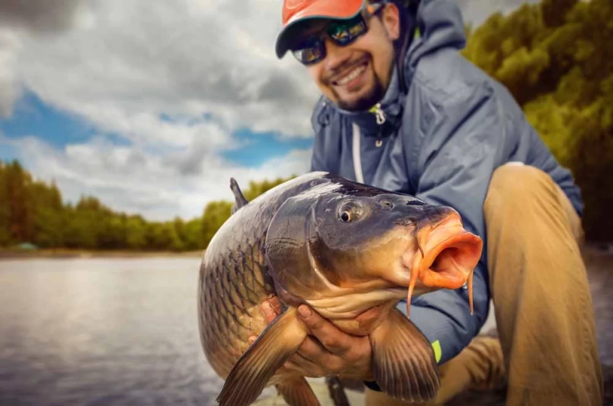 
        Дебют и гамбит. Откуда в России берутся мастера рыбной ловли    