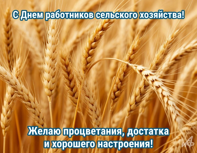 
        Открытки с Днем работников сельского хозяйства. Яркие картинки и пожелания    