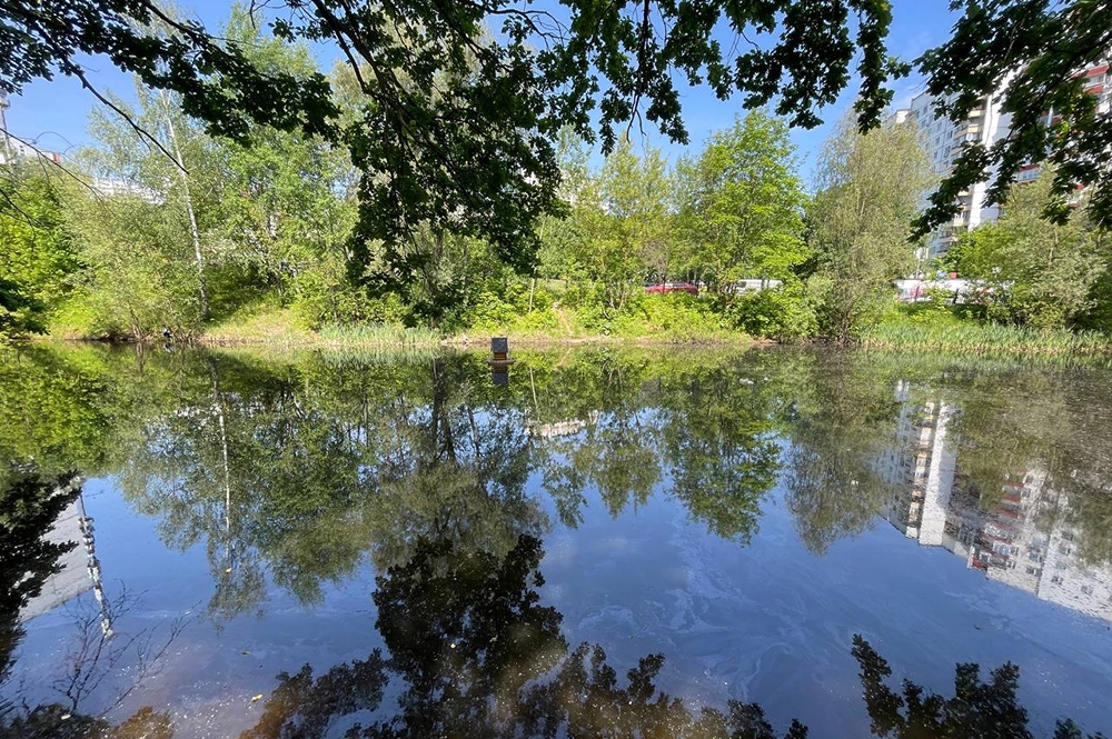 
        Удочка спать мешает. Зачем идти на рыбалку рано утром    