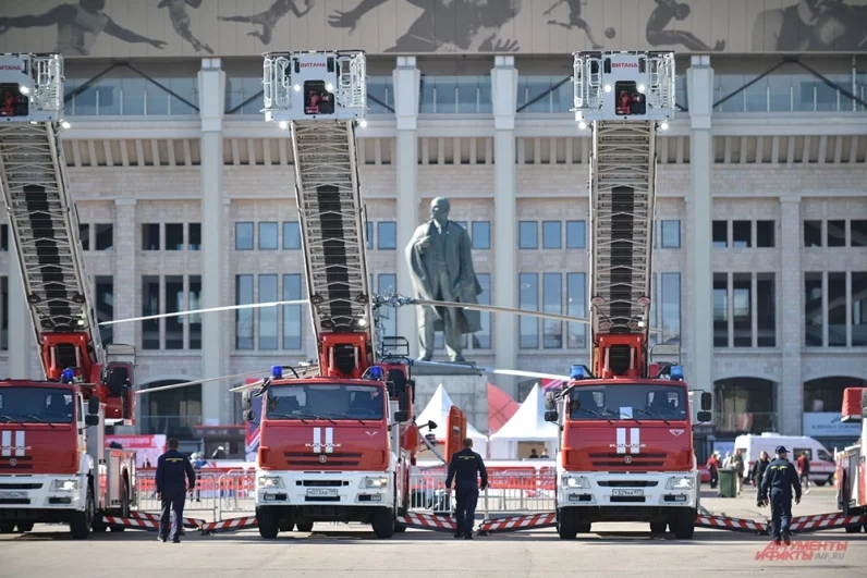 От спарринга до полета. В Лужниках отметили День московского спорта
От спарринга до полета. В Лужниках отметили День московского спорта