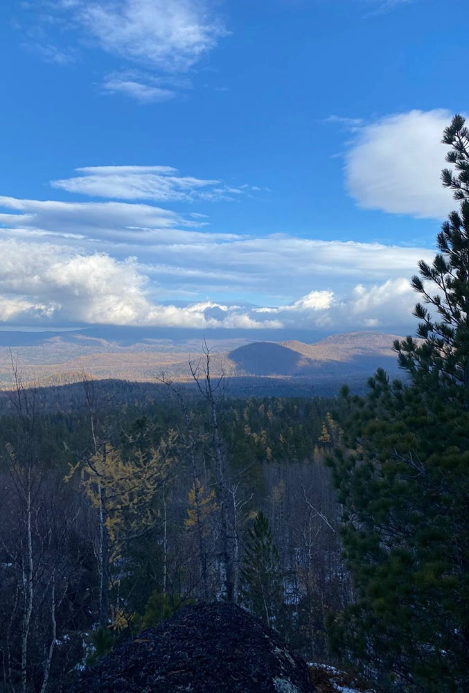 
        Таежник с детства. Версия с медведем трещит по швам: Усольцевых могли убить    