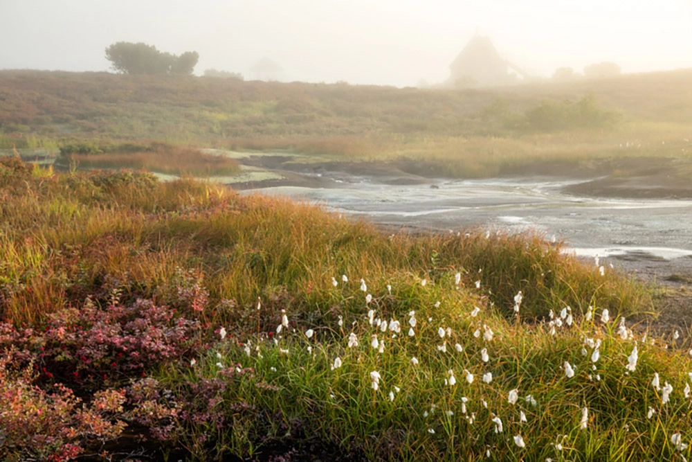 Жерло красоты. Невероятная кальдера вулкана Узон
Жерло красоты. Невероятная кальдера вулкана Узон