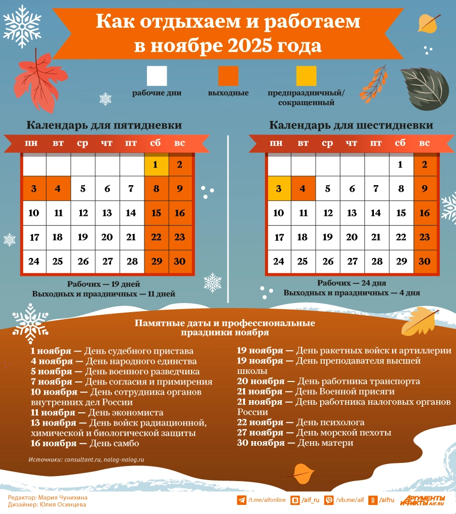 Как отдыхаем и работаем в ноябре 2025 года. Инфографика